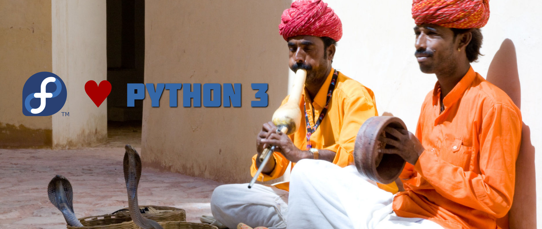 Featured image for the Python 3 Porting Fedora Activity Day.