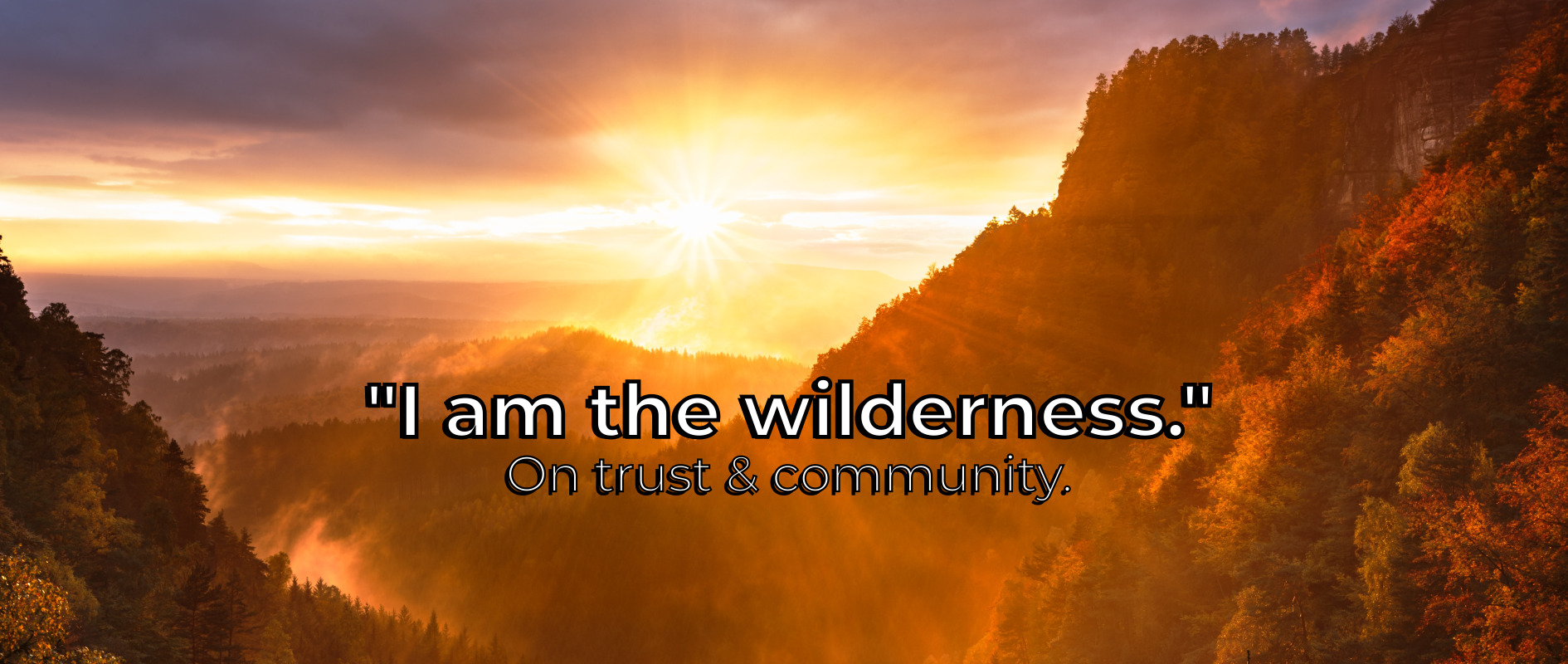 "I am the wilderness": On trust & community